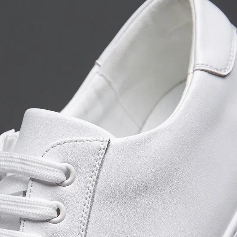 Enzo | Herren Leder Sneakers